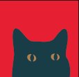 Lucky Stranger social profile — solo cat